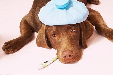 《战地6》官宣支持主机键鼠操作 跨平台匹配机制详解